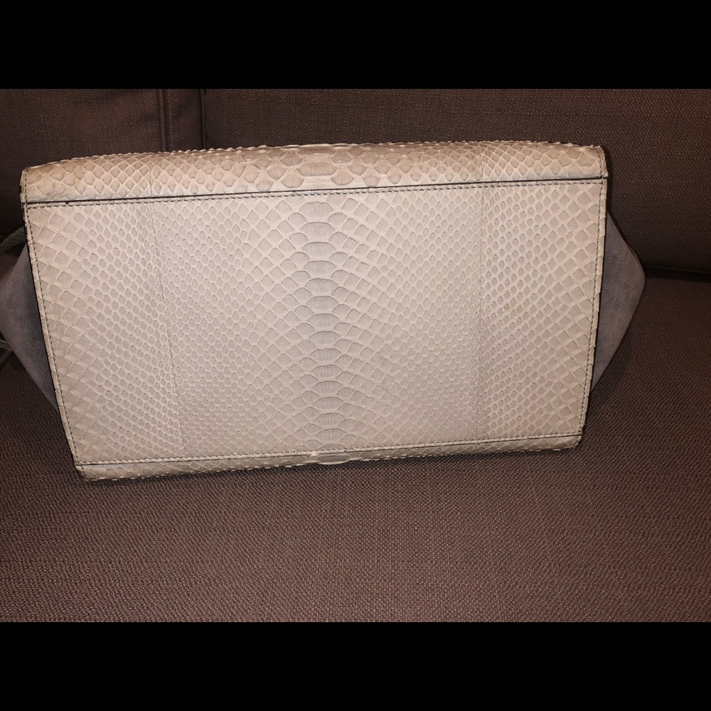 Cline Trapeze Bag With Python - image 3